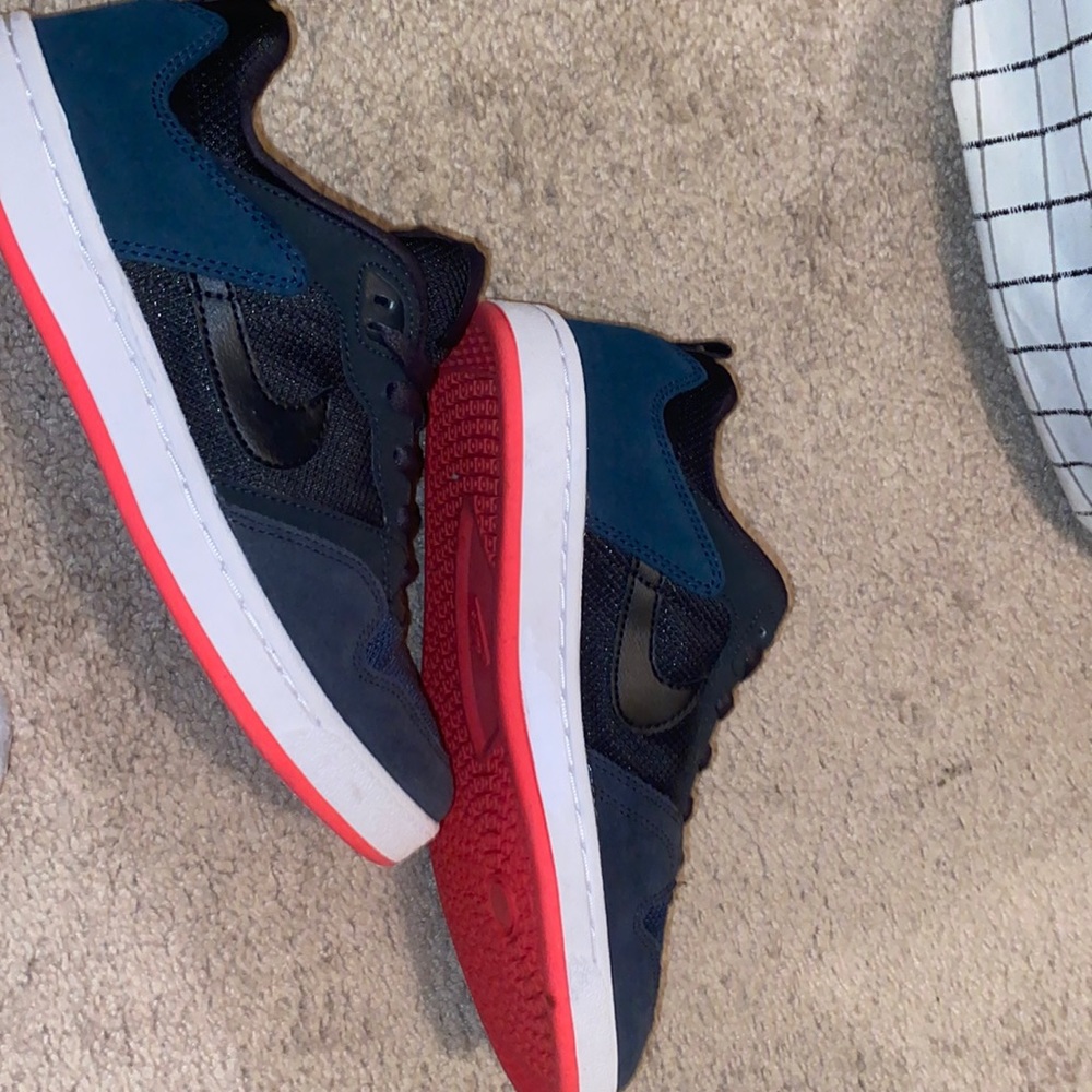 Womens Nike SB size 6